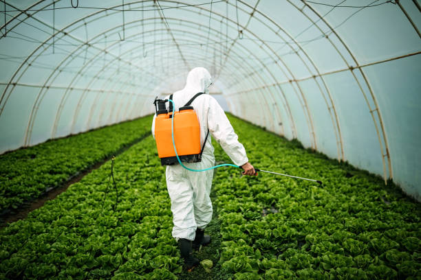 Best Pest Removal Services  in Glade Spring, VA