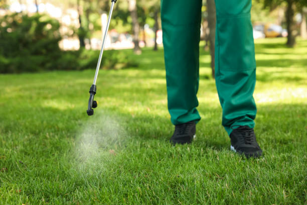 Best Exterminator Services  in Glade Spring, VA
