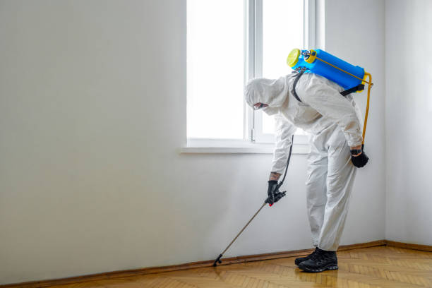 Best Pest Control Near Me in Glade Spring, VA