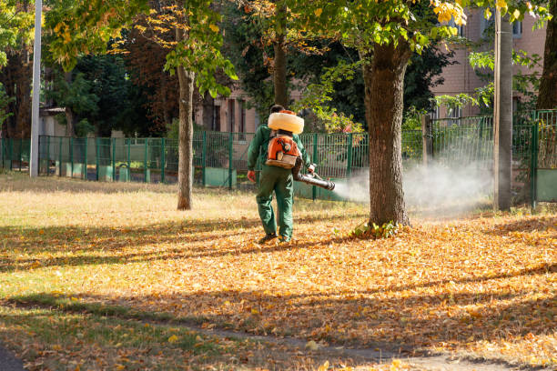 Best Emergency Pest Control  in Glade Spring, VA