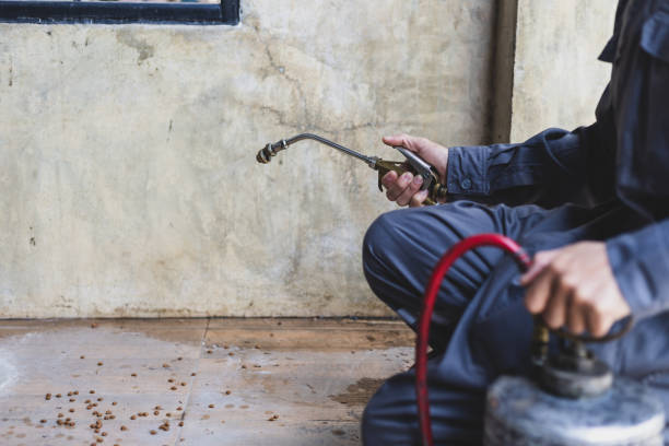 Best Mosquito Control Services  in Glade Spring, VA
